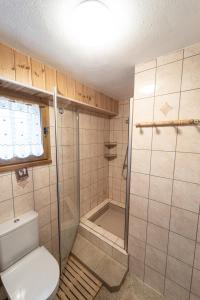 uma casa de banho com um chuveiro e um WC. em Chalet d'alpage Le Lauzeron em Aiguilles