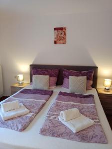 a bedroom with two beds with pillows on them at Wohnungen- Christopherhof MJ,Grafenwiesen in Grafenwiesen