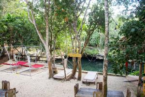 - une plage avec une balançoire et quelques arbres dans l'établissement Cenote Popol Vuh, à Leona Vicario