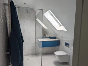 uma casa de banho com um WC, um lavatório e uma clarabóia em The Nest at Fairfield em Wargrave