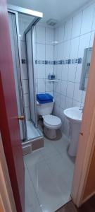 Baño blanco con aseo y lavamanos en Bosque Valdiviano Apartment, en Valdivia
