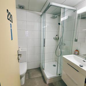 a bathroom with a shower and a toilet and a sink at City stay inn in Zurich