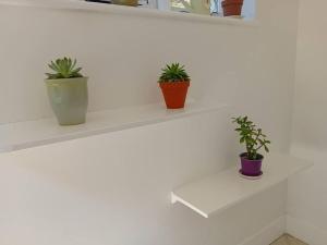 three potted plants sitting on a white shelf at Millbrook House in Oldcastle