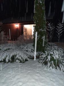 a yard covered in snow in front of a house at Odsapka u Agi in Wydminy