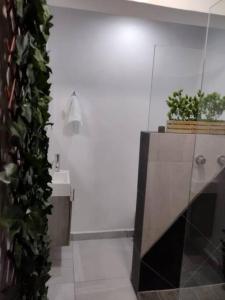 La salle de bains est pourvue d'un lavabo et d'un comptoir avec des plantes. dans l'établissement Departamento en Heroica Matamoros, à Matamoros