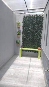 a green wall with a green bench in a hallway at Departamento en Heroica Matamoros in Matamoros