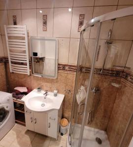 卡爾帕奇的住宿－Apartament BAJA Karpacz，一间带水槽和淋浴的浴室