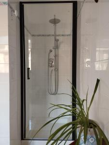 a shower with a glass door next to a plant at Alloggio al 29 in Ronciglione