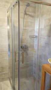a shower with a glass door in a bathroom at Los Maquis e Inacayal in Villa La Angostura