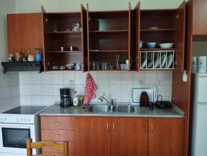 a kitchen with a sink and a counter top at THREE BROTHERS in Dhidhimótikhon