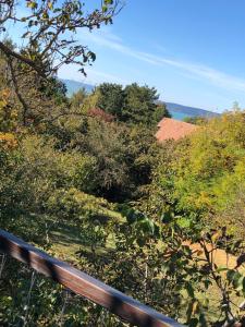 a view of a hill with trees and a fence at Sun&Fun Vendégház in Balatonakarattya