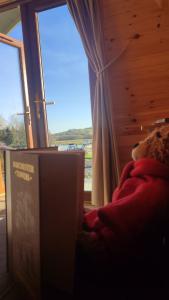 a teddy bear sitting in front of a window at Glamping Pod Thady Killynick County Fermanagh in Killyhevlin