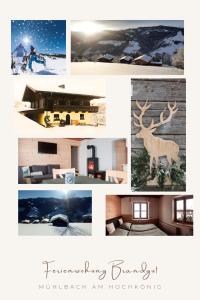 eine Collage mit Bildern eines Hauses mit einem Hirsch in der Unterkunft Bio Bauernhof Brandgut in Mühlbach am Hochkönig