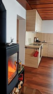 a kitchen with a fireplace and a stove at Bio Bauernhof Brandgut in Mühlbach am Hochkönig