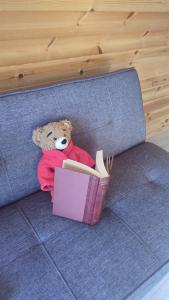 a teddy bear sitting on a couch with a book at Killynick Glamping Oiney Fishing County Fermanagh in Enniskillen