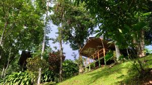 a house on top of a hill with trees at Rio Tico Safari Lodge in Punta Mala
