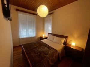a bedroom with a bed and two windows and a chandelier at Chalet Karpenisi in Karpenisi