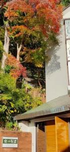 a building with a tree with fall foliage at 熱海温泉　実の別荘 in Atami