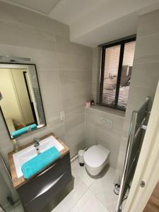 La salle de bains est pourvue d'un lavabo, de toilettes et d'un miroir. dans l'établissement Lyon Standing Historic City Apartment, à Lyon