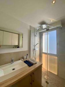 La salle de bains est pourvue d'un lavabo et d'une douche en verre. dans l'établissement Cocon ensoleillé avec parking gratuit, à Nice
