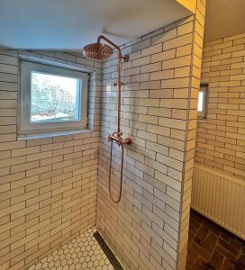 łazienka z prysznicem i oknem w obiekcie Chata Porcelánka w mieście Desná
