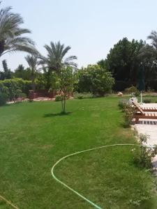 a lawn with a basketball hoop in a park at الريف الأروبي in Qaryat ash Shamālī
