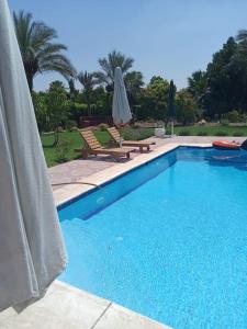 a swimming pool with two chairs and an umbrella at الريف الأروبي in Qaryat ash Shamālī