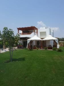 una casa con dos sombrillas blancas en un patio en الريف الأروبي, en Qaryat ash Shamālī