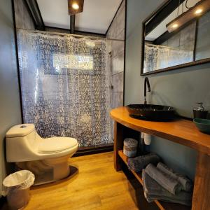 a bathroom with a toilet and a sink at k10lodge in Curacautín