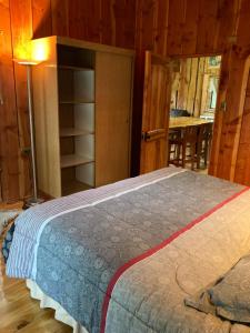 Postel nebo postele na pokoji v ubytování Cabañas cordillera Rio Blanco