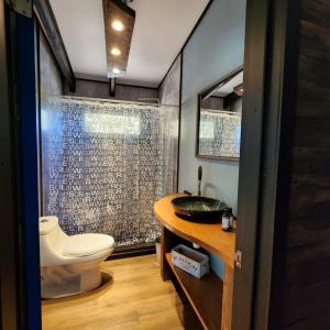 a bathroom with a toilet and a shower at k10lodge in Curacautín