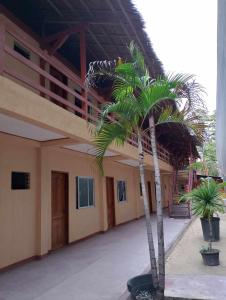 a palm tree in front of a building at Aroma's Guest House in San Juan +24 photos