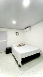 APARTAMENTO SETEL SAI في سان أندريس: غرفة نوم بسرير في غرفة بيضاء