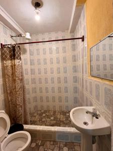 a bathroom with a toilet and a sink at Hotel Canaan La aurora in Guatemala