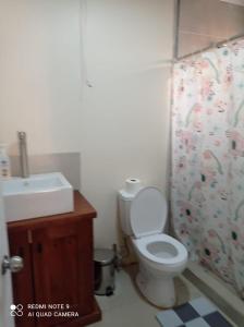 ein Badezimmer mit einem WC, einem Waschbecken und einem Duschvorhang in der Unterkunft Casa de montaña San Francisco in Los Andes