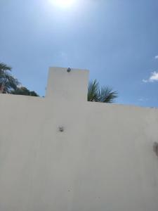 Elle offre une vue sur une plage de sable blanc bordée de palmiers. dans l'établissement Mazz_q_casa, à Ilhabela