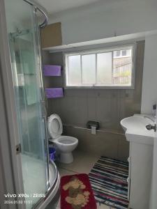 y baño con ducha, aseo y lavamanos. en Private Large double room, en Auckland