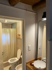 a bathroom with a toilet and a sink at Luna Roja Llao Llao in San Carlos de Bariloche