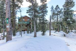 Ein Haus im Wald im Schnee in der Unterkunft Christensen Retreat in Duck Creek Village