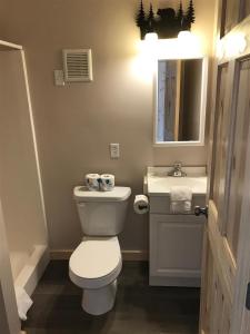 ein Badezimmer mit einer weißen Toilette und einem Waschbecken in der Unterkunft Christensen Retreat in Duck Creek Village + 20 Fotos