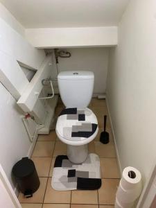 Elle comprend une petite salle de bains pourvue de toilettes. dans l'établissement Coquet Appartement 2 pièces, à Alfortville