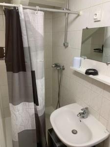 La salle de bains est pourvue d'un lavabo et d'un rideau de douche. dans l'établissement Coquet Appartement 2 pièces, à Alfortville