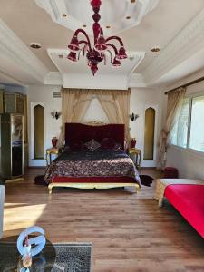- une grande chambre avec un grand lit et un lustre dans l'établissement Barthélemy Guest House, à Marrakech