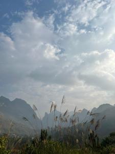 a field of grass with mountains in the background at Du Già Coffee View Homestay in Làng Cac