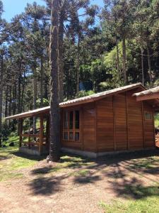 a small cabin in the woods with a tree at Cabanas do Empório Aparados da Serra in Bom Jardim da Serra