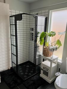 a bathroom with a shower with a plant in it at Private NE Portland Guesthouse in Portland
