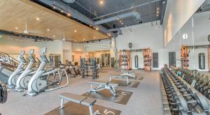 a gym with lots of treadmills and machines at 1BR Oasis in Downtown Tampa w Balcony & City Views in Tampa