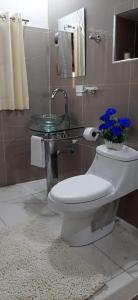 łazienka z toaletą i szklaną umywalką w obiekcie Casablanca Ollantaytambo w mieście Ollantaytambo