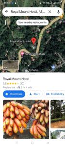 a screenshot of a website with a bunch of carrots at ROYAL MOUNT HOTEL in Gampola