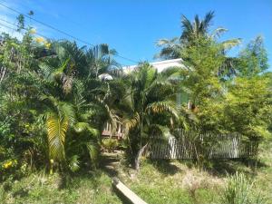 a group of palm trees in front of a house at Sukanyawoodhouse in Ban Tha Rua